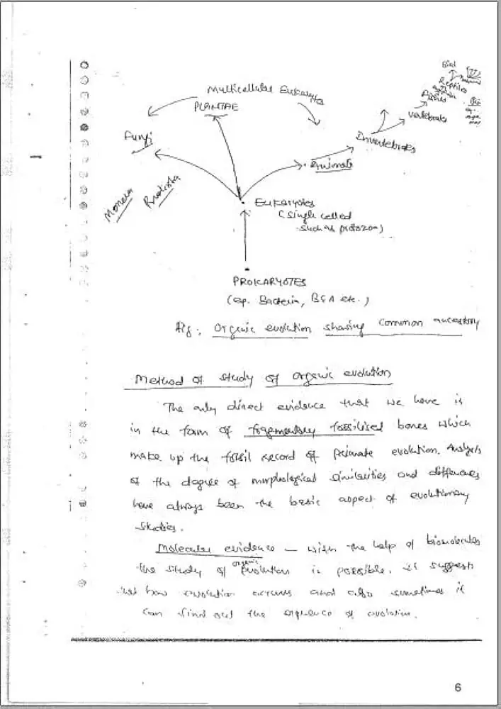 Vaid Sir Anthropology Notes