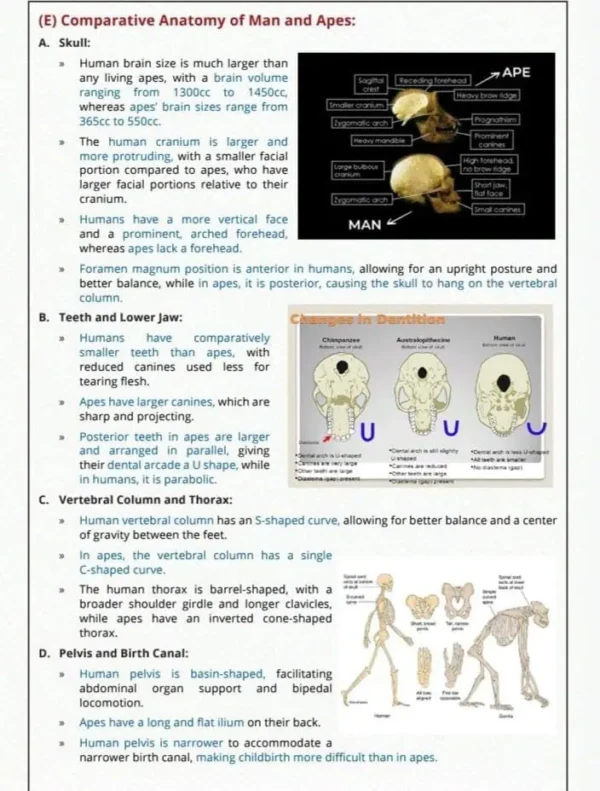 Vajiram Anthropology Optional Notes Latest - Image 2